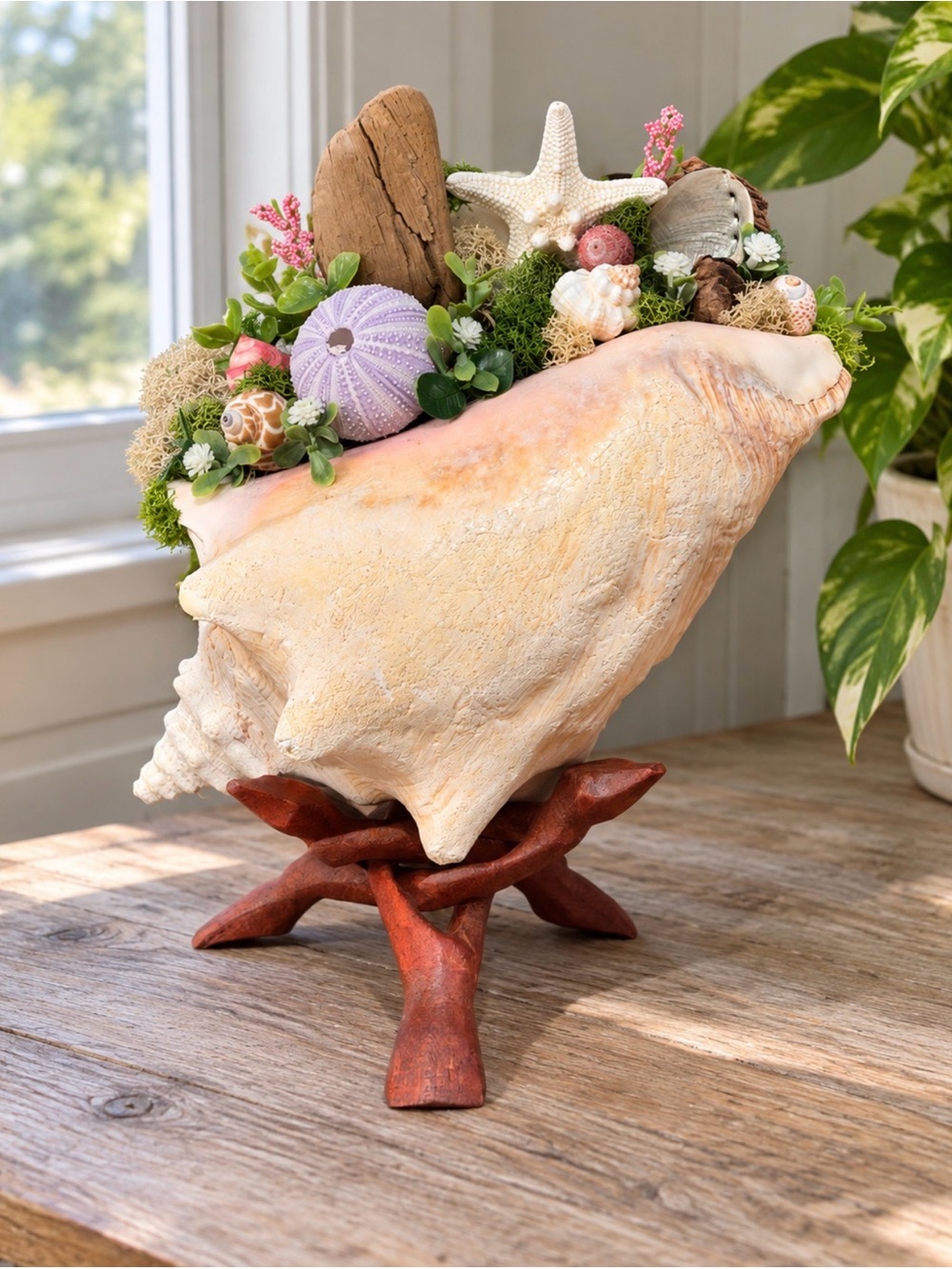 Coastal Queen Conch | Arrangement on Wood Stand
